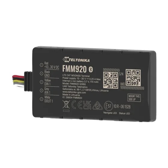 Teltonika FMM920