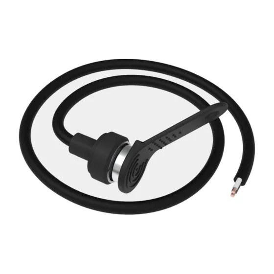 Teltonika iButton key (driver identification, 1-Wire)